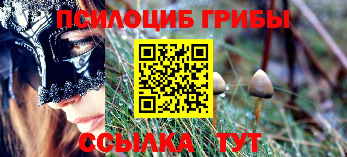Саяногорск  Галлюциногенные грибы мицелий  Псилоцибиновые грибы Psilocybe  Вход с VPN 