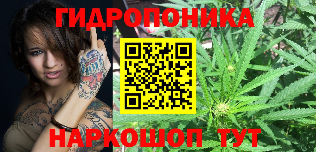 Бошки Шишки планчик Саяногорск